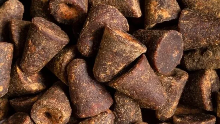 jaggery_im_1_1668922179560_1702466963312